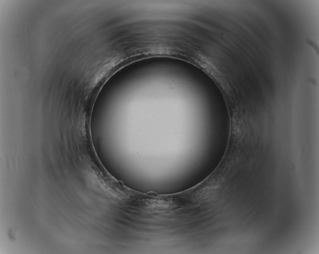 X0000103480347200809191904