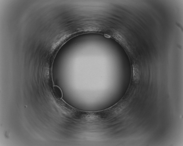 X0000103480348200809191904