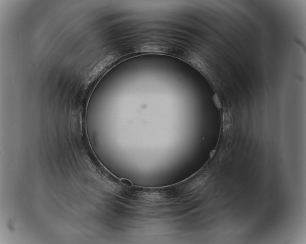X0000103480349200809191904