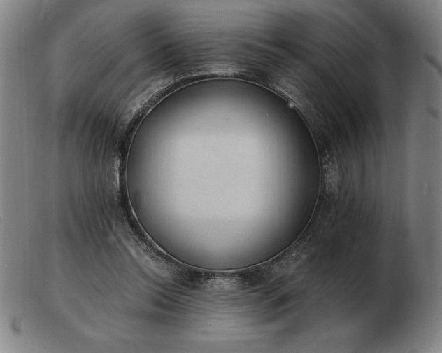X0000103480350200809191904