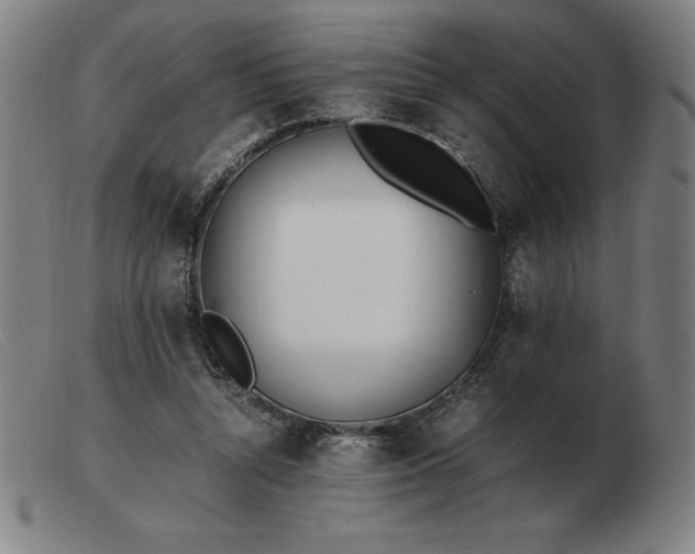 X0000103480352200809191904