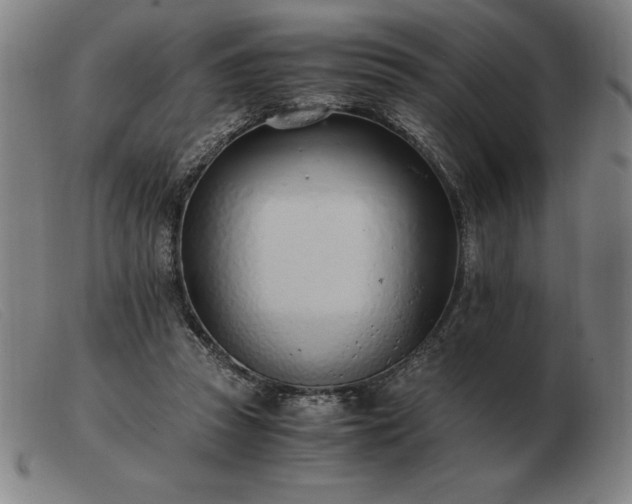 X0000103480353200809191904