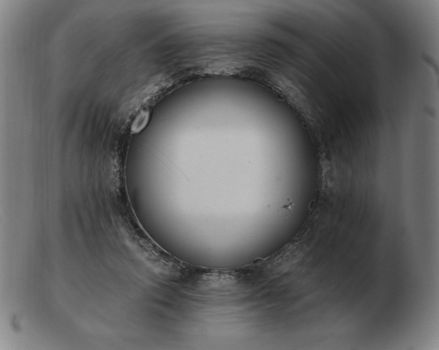 X0000103480354200809191904