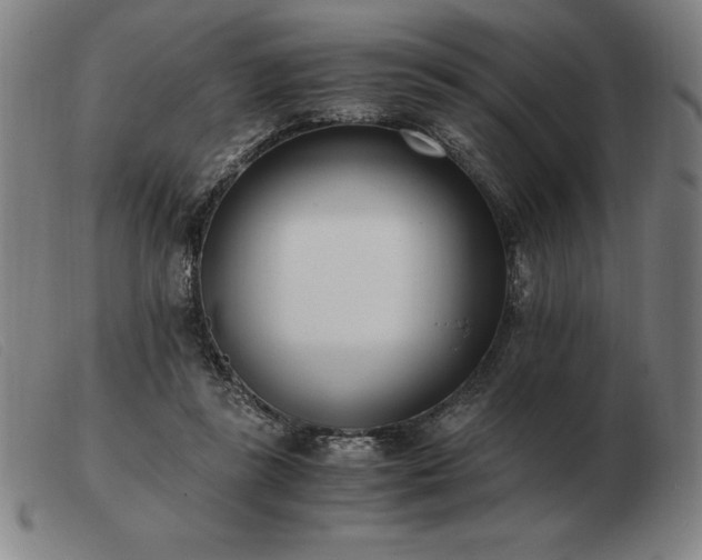 X0000103480355200809191904