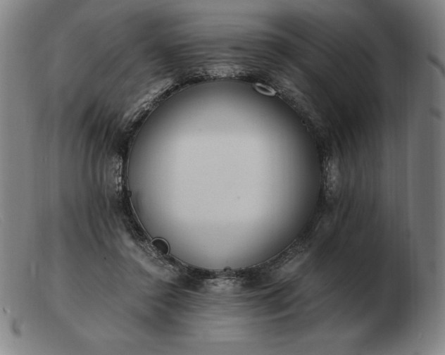 X0000103480356200809191904