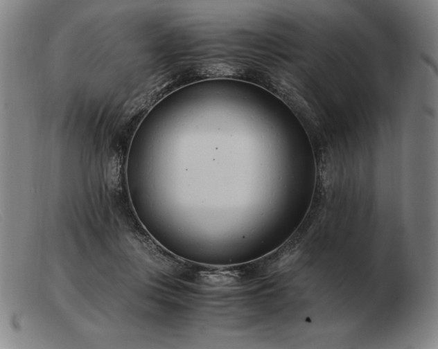 X0000103480359200809191904