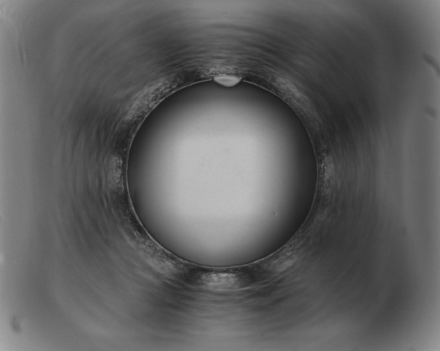 X0000103480361200809191904