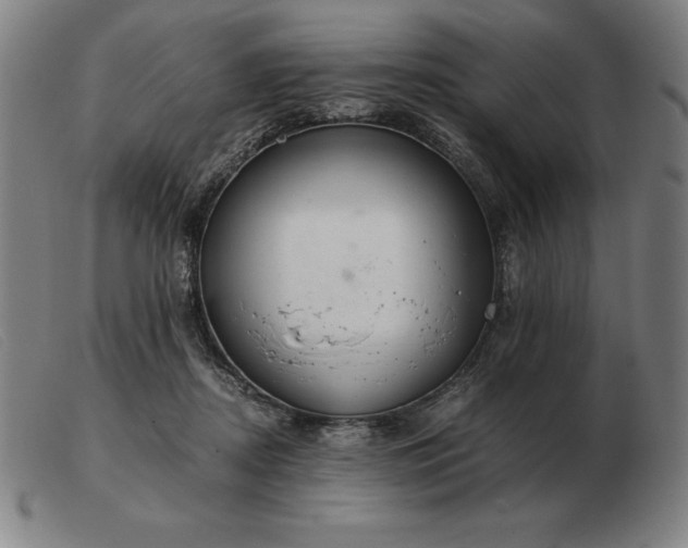 X0000103480362200809191904