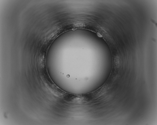 X0000103480364200809191904
