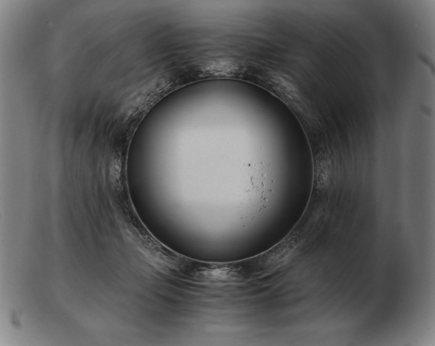 X0000103480365200809191904