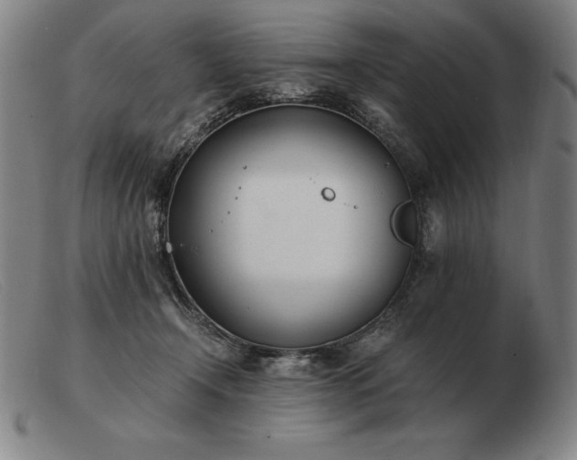 X0000103480366200809191904