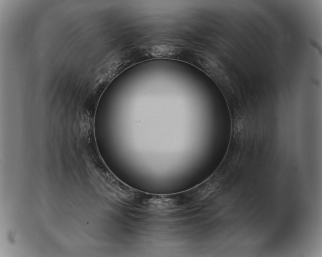 X0000103480367200809191904