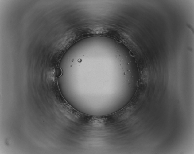 X0000103480368200809191904