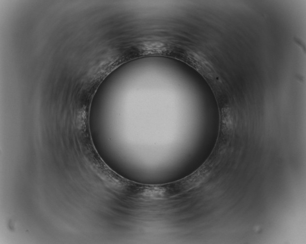 X0000103480369200809191904