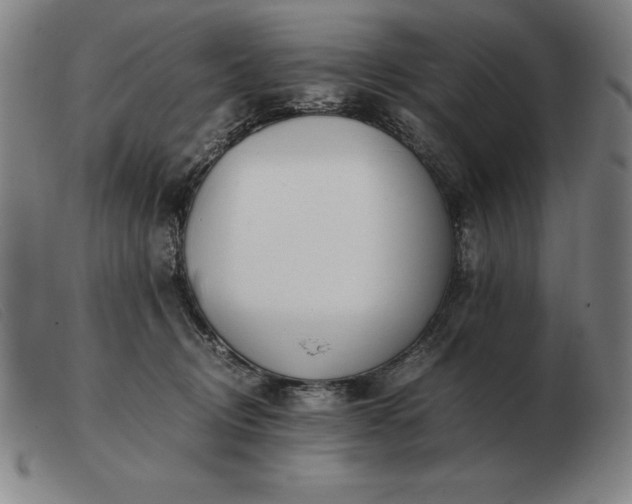 X0000103480370200809191904
