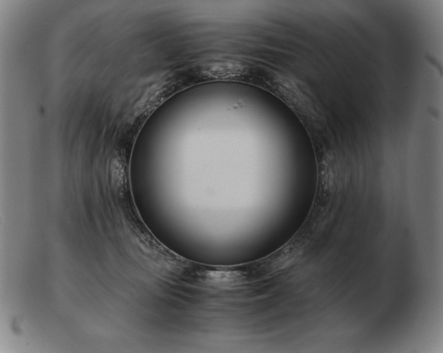 X0000103480371200809191904