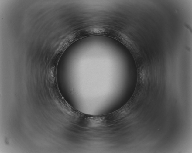X0000103480373200809191904