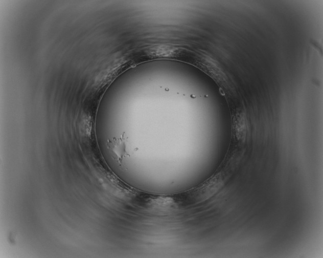 X0000103480374200809191904