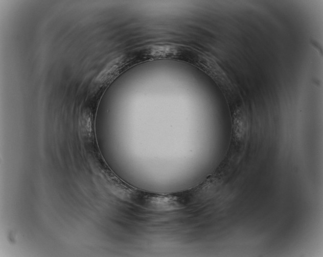 X0000103480375200809191904