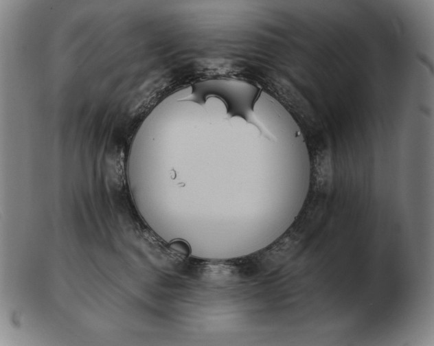 X0000103480376200809191904