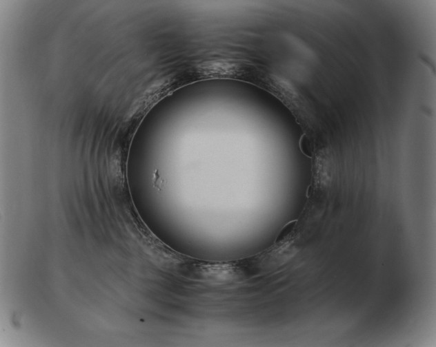 X0000103480377200809191904
