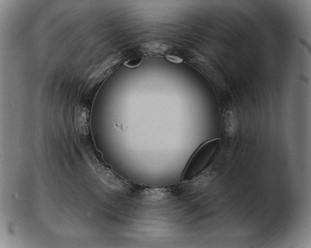 X0000103480378200809191904
