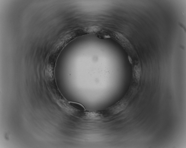 X0000103480380200809191904