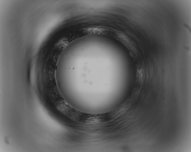 X0000103480381200809191904