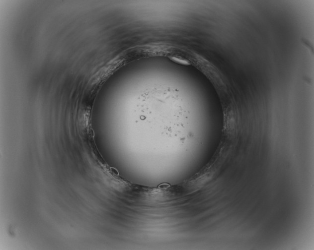 X0000103480382200809191905