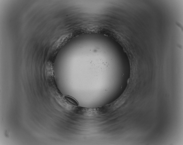 X0000103480384200809191905