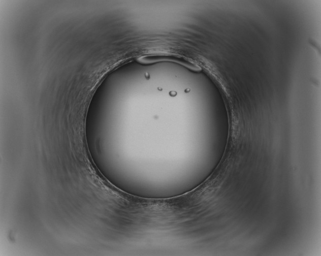 X0000103480385200809191904
