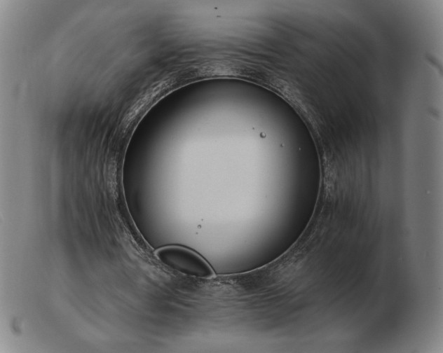 X0000103480386200809191904
