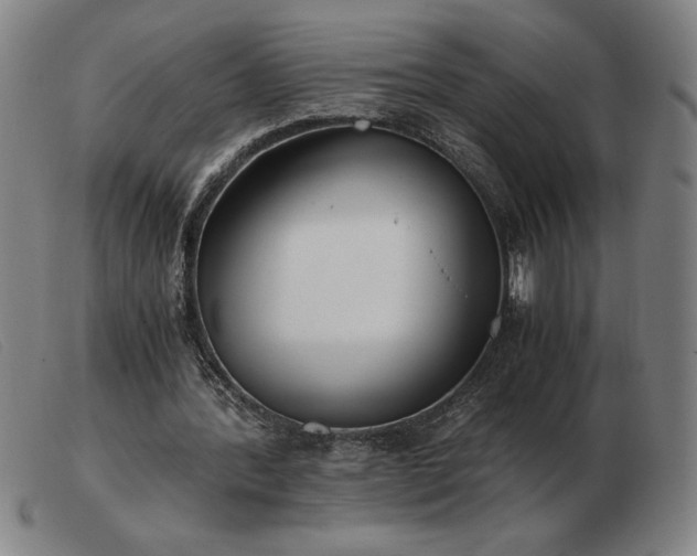 X0000103480388200809191904