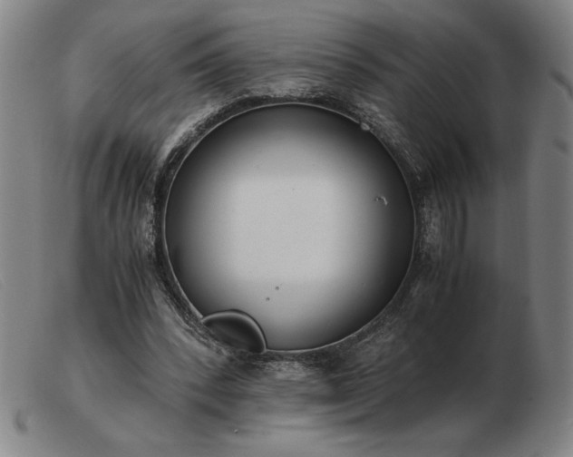 X0000103480392200809191904