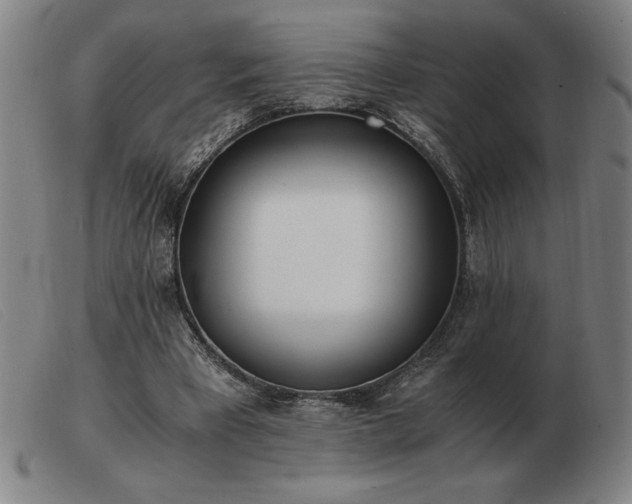 X0000103480393200809191904