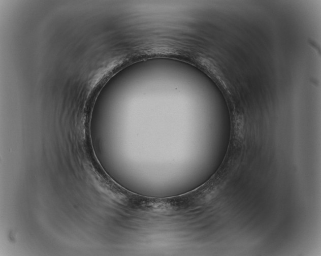 X0000103480395200809191904