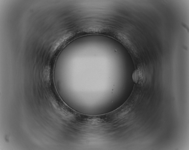 X0000103480396200809191904