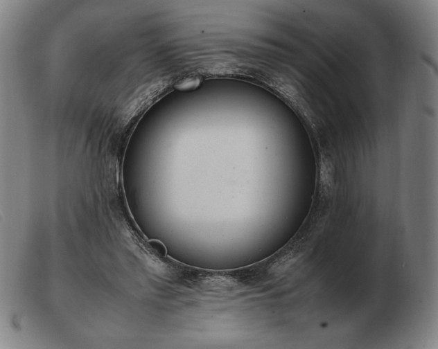 X0000103480397200809191904