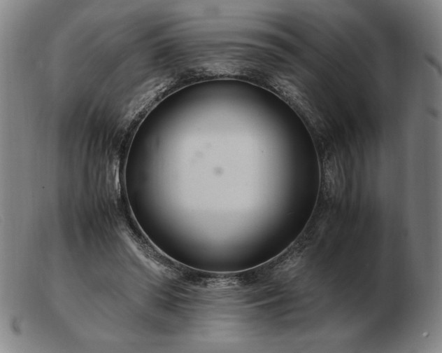 X0000103480398200809191904