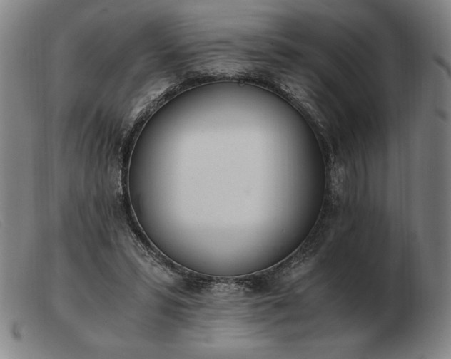 X0000103480399200809191904