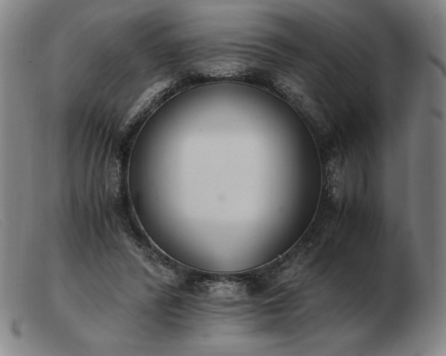 X0000103480400200809191904