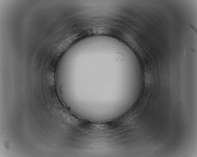 X0000103480401200809191904
