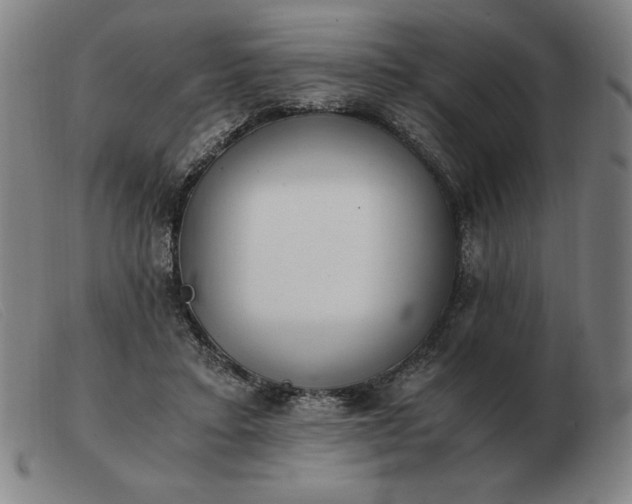 X0000103480403200809191904