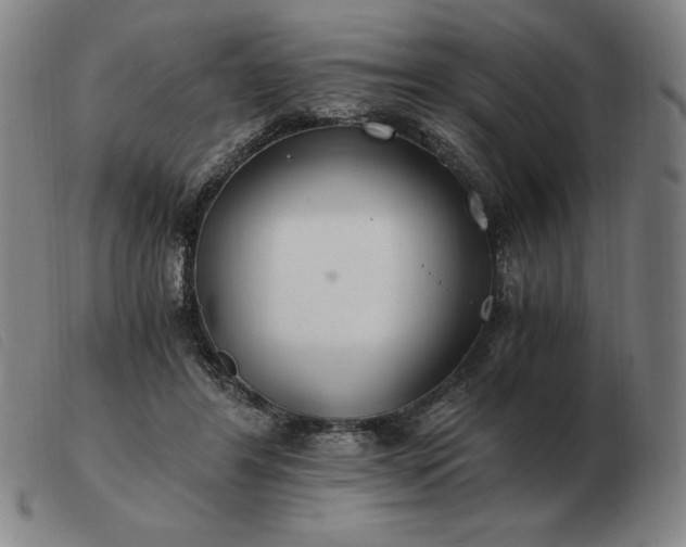 X0000103480404200809191904