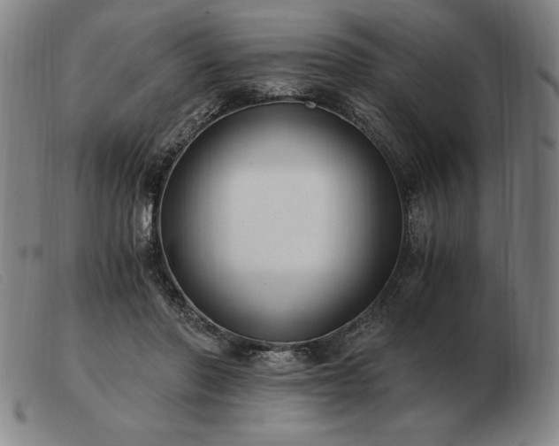 X0000103480406200809191904