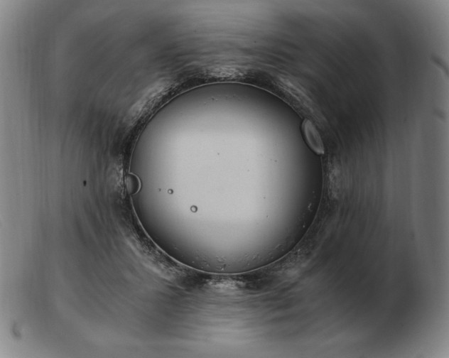 X0000103480407200809191904