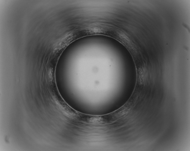 X0000103480410200809191904