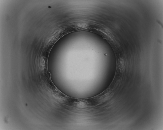X0000103480412200809191904