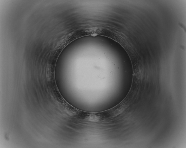 X0000103480416200809191903