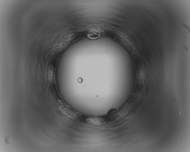 X0000103480417200809191903